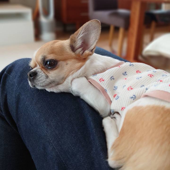 3422e6cd d861 42b0 b7f4 0074909a96b3 1684665940543