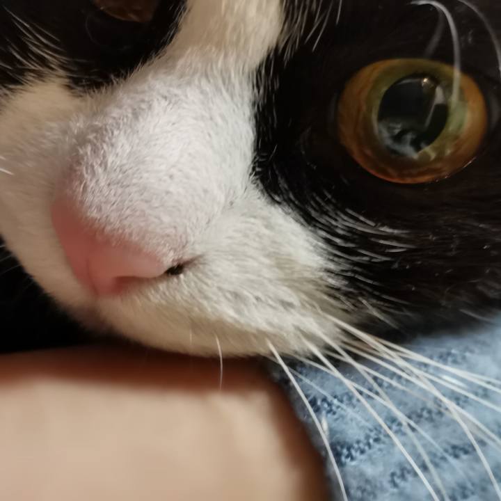 3422faf4 4651 4ce3 a342 db8a81686def 1605796472107