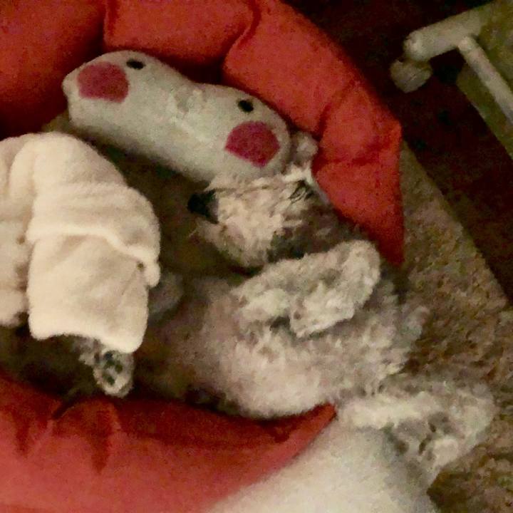 3423034c 31e3 49d1 8288 7639a8b17f02 1560567633846