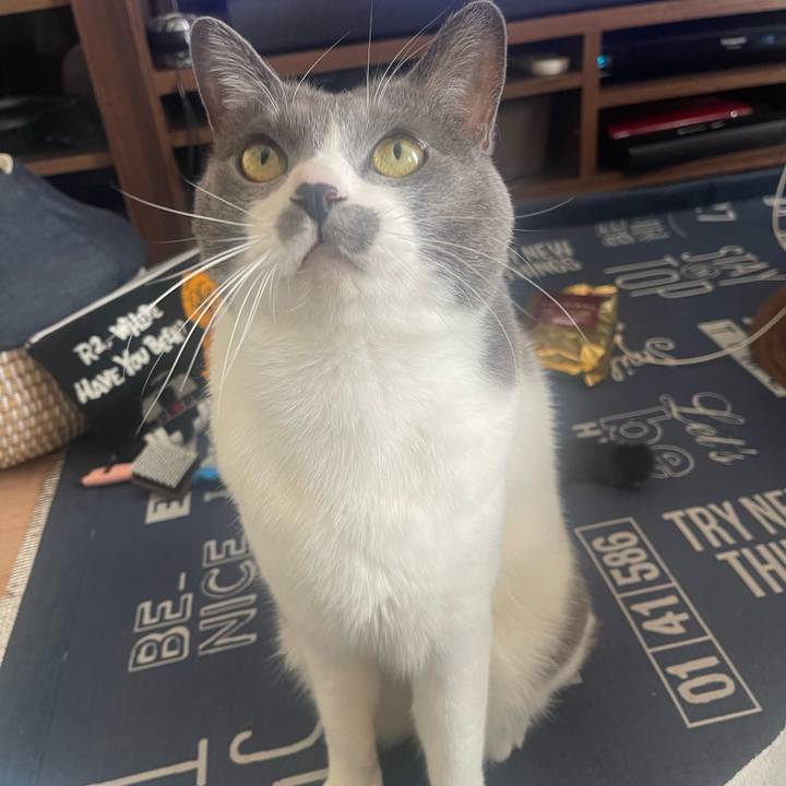 342353a8 faec 4a49 a7ea 4902f4385965 1707014284851