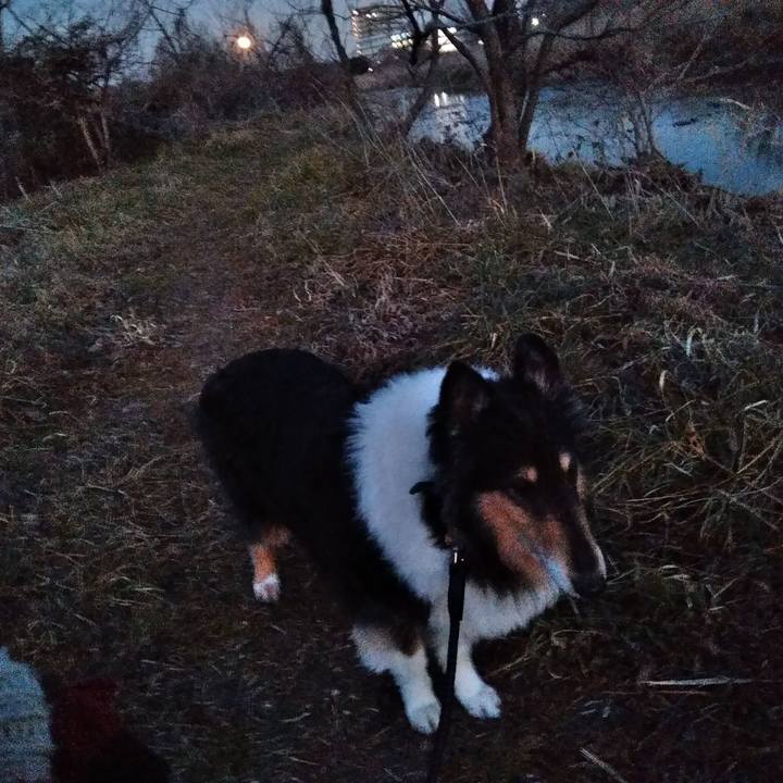 34236c62 8947 499c b75c b496f0ecc743 1548078764672