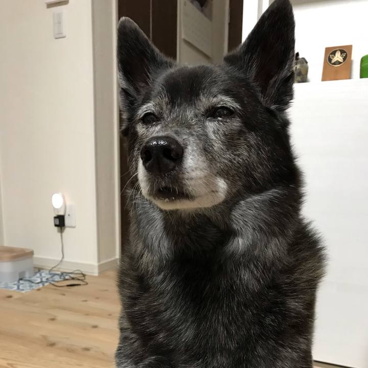 34238be8 2a37 46f6 8dc1 68d85f002423 1588848718005