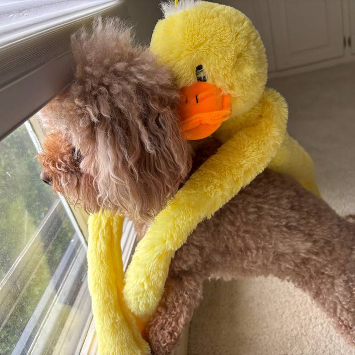 3423a311 729a 4e9b 8db0 df65d475de82 1757258646753