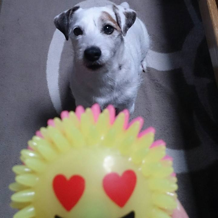 3423b867 370c 4156 bb6d bfbe9a96e57e 1510788390926