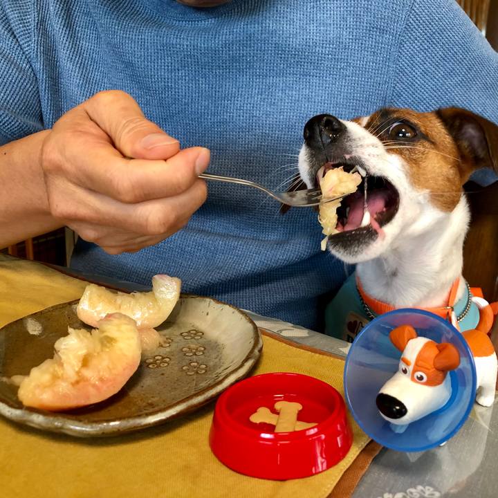 3424268e 693f 497f 8fb2 84ffb6d9c7cb 1565650964302