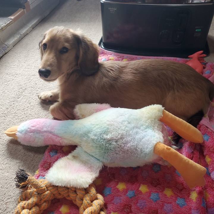 3424283a d28e 4a91 854f 815b19704744 1768095835868