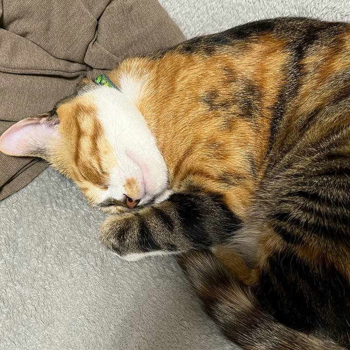 3424599c 6654 4a71 9577 56b771f071d8 1728944700075