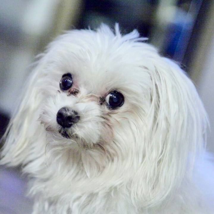 34245afe 6208 442d 8bc6 539c1d08a1aa 1758683098429