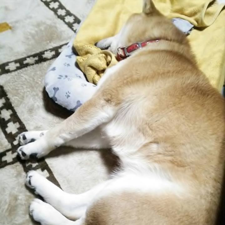 3424bb49 07f7 4fd0 af68 6b9a9ecafcda 1518475383992