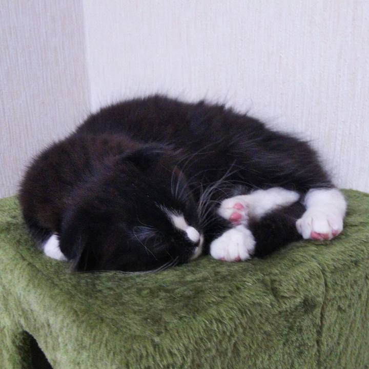 34251253 5fb2 4c29 929d 065e8f979d7c 1640350744877