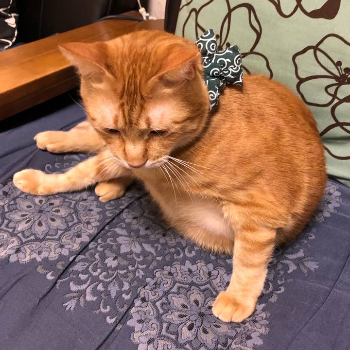 342569d8 e91a 478b a112 d3427c9c009c 1575730566684