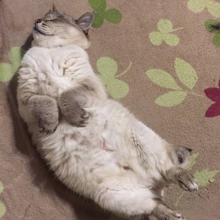 34259443 5dba 4a58 85dd 47526fe4c6a9 1556020567650