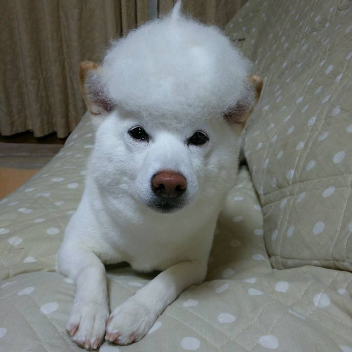 3425b830 58b9 4c2a a6ff d9047304371b 1555932781788