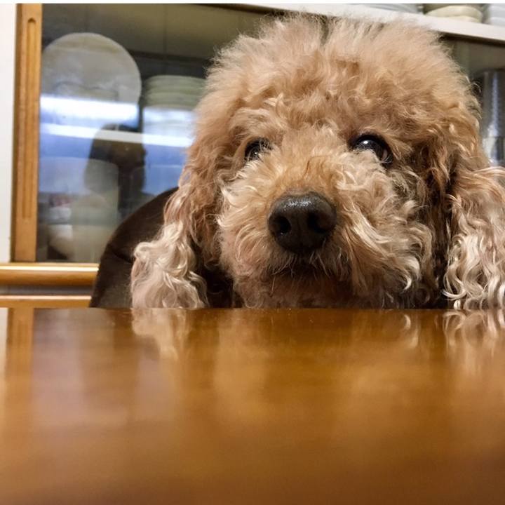 3425b8ee 15fa 4a6c 8b62 cece777a3d67 1597426125729