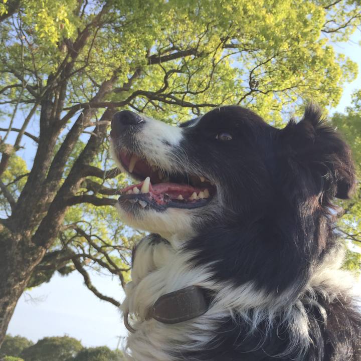 3425caa6 6091 4877 b1f1 a5a81b322e8f 1555546932754