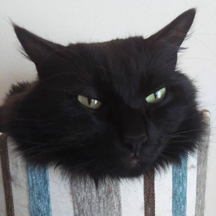 3425e2d7 e69a 4e50 80a6 81190a0cc41a 1529727372259