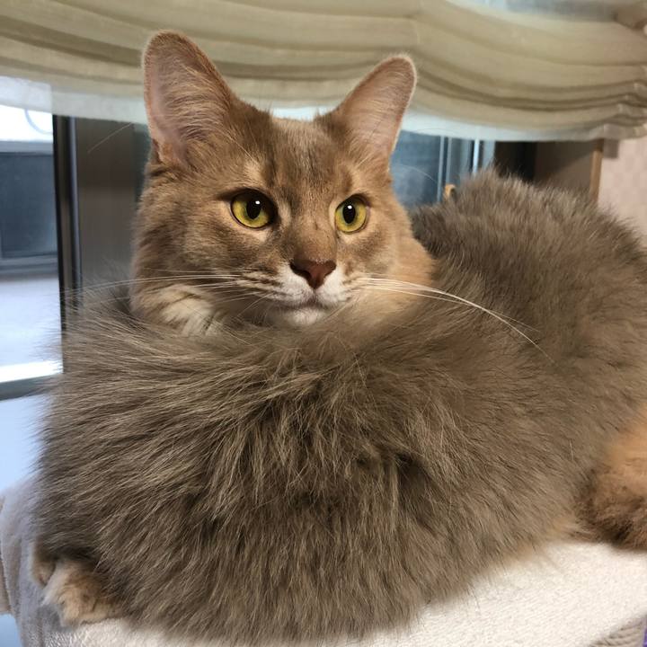 3425f700 6101 40ee b0d3 3933e4d05456 1636500827839