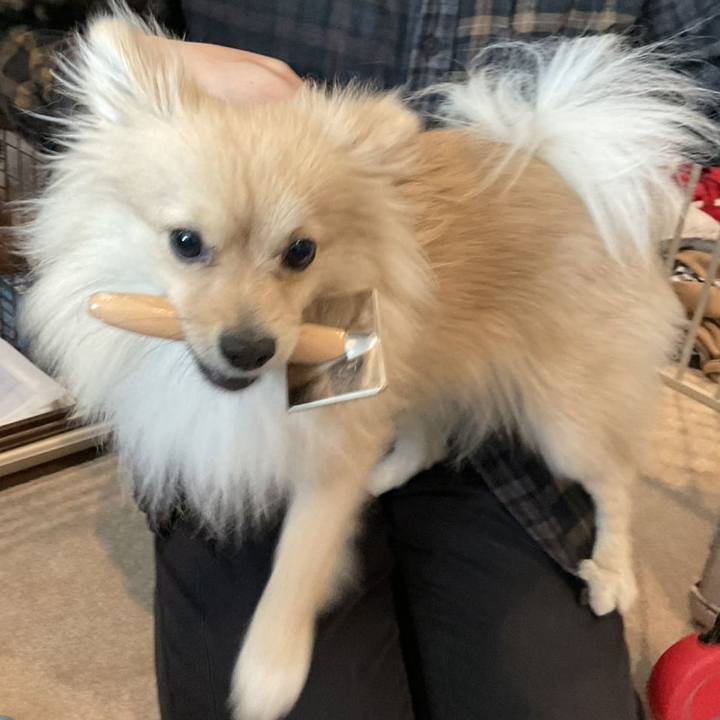 34261b3e 9905 45ad b0ba e8aa90dd51e3 1744418823695