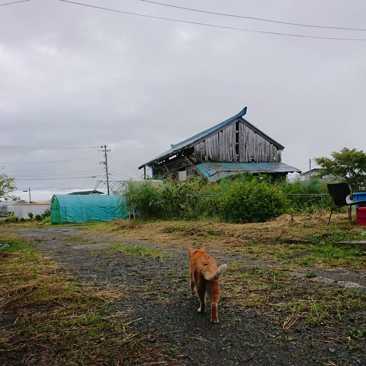 342632ea 1162 4610 9aed e8fbe9e19718 1601155568493