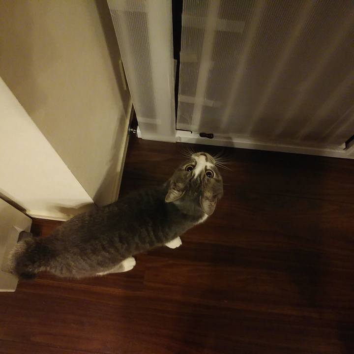 34263e7e fa7e 4bd3 9a59 48653e46eb8f 1574868923446