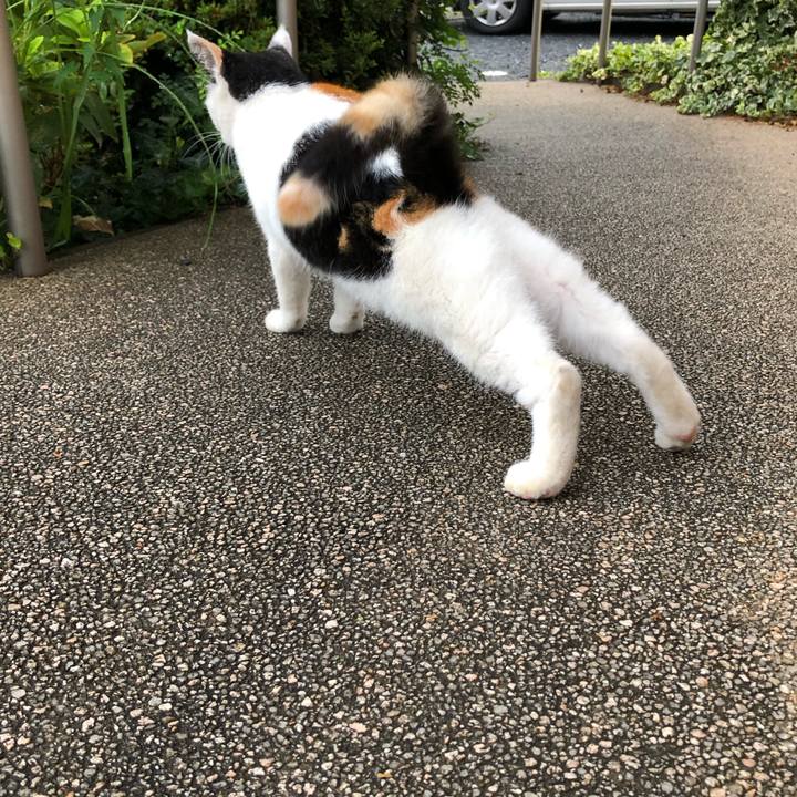 3426e7cf ab3c 40b0 960a 0aa14517f1e6 1600294548348