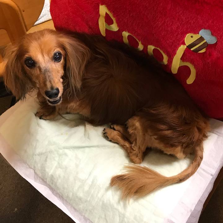 342707cb 1096 47b4 b6eb b738dd6122f4 1601984720084