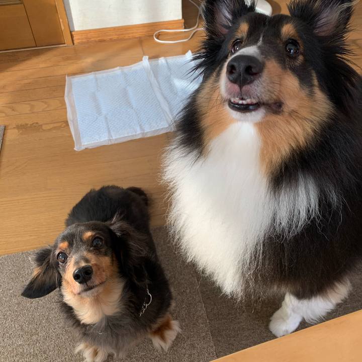 34275eb5 b898 4123 81cc d4bd8b95de54 1598391517361