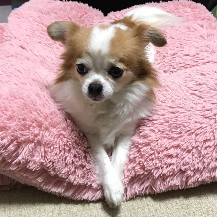 34276292 dae9 49be a339 732ba347f34b 1518531100738