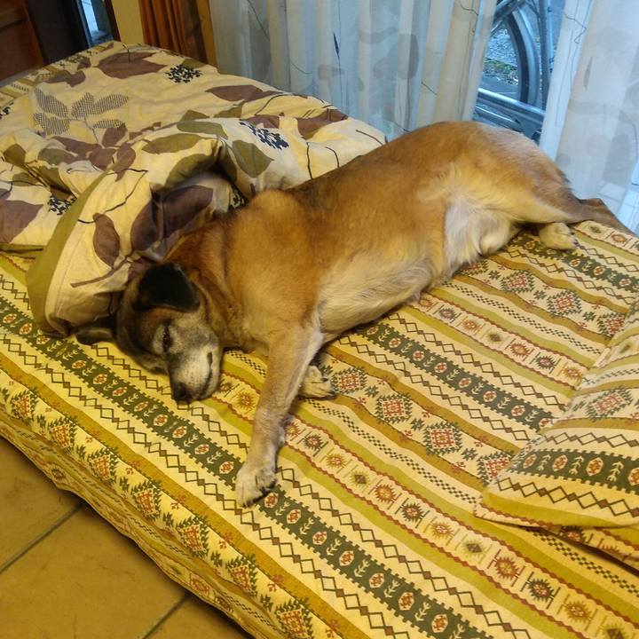 34276a0f b051 4bb4 9259 3b67f1765ee3 1548292119267