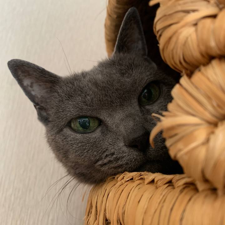 34278ae4 726c 44c9 a793 8220a6fc4786 1557644664085