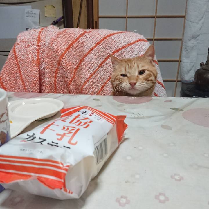 34279976 50b2 4a3b 9a2c b2b157bf4fb3 1644144318456