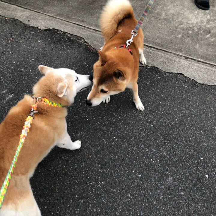 3427aacb 7197 4c23 8b0d 94d6f2629354 1600906291493