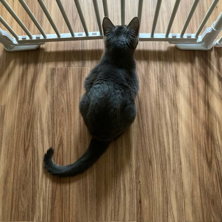 3427ab05 dd6a 4035 8888 2c7442c61dbd 1629515362973