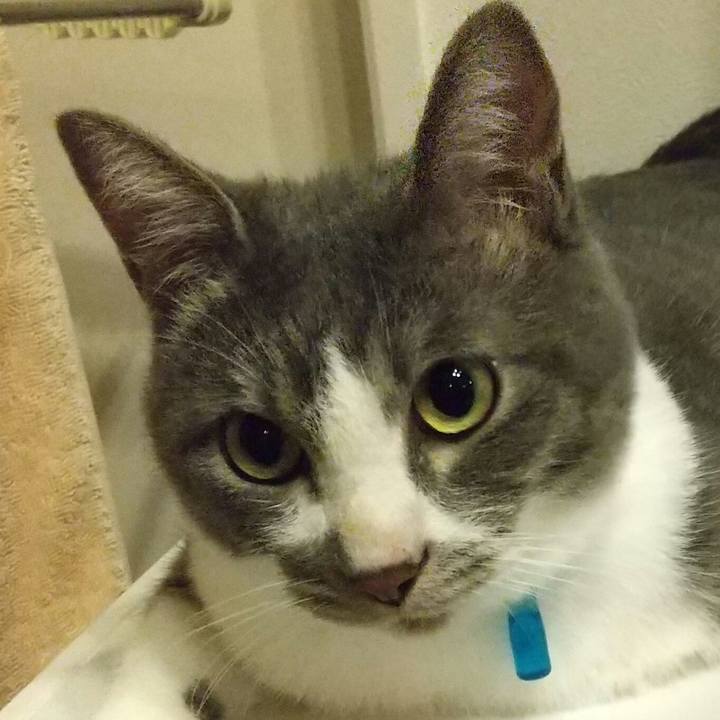 3427aec6 ee4f 4479 aab8 fdb63b56e11f 1600005022743