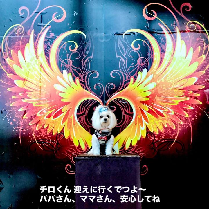 3427ec37 d60f 44d9 a2d5 a614b1ba7740 1764899037311