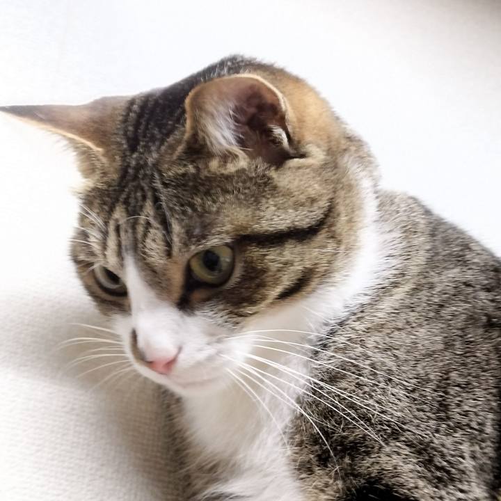 3427fd7f 9a8f 45ad 9c05 c49e6a54c173 1769817573903