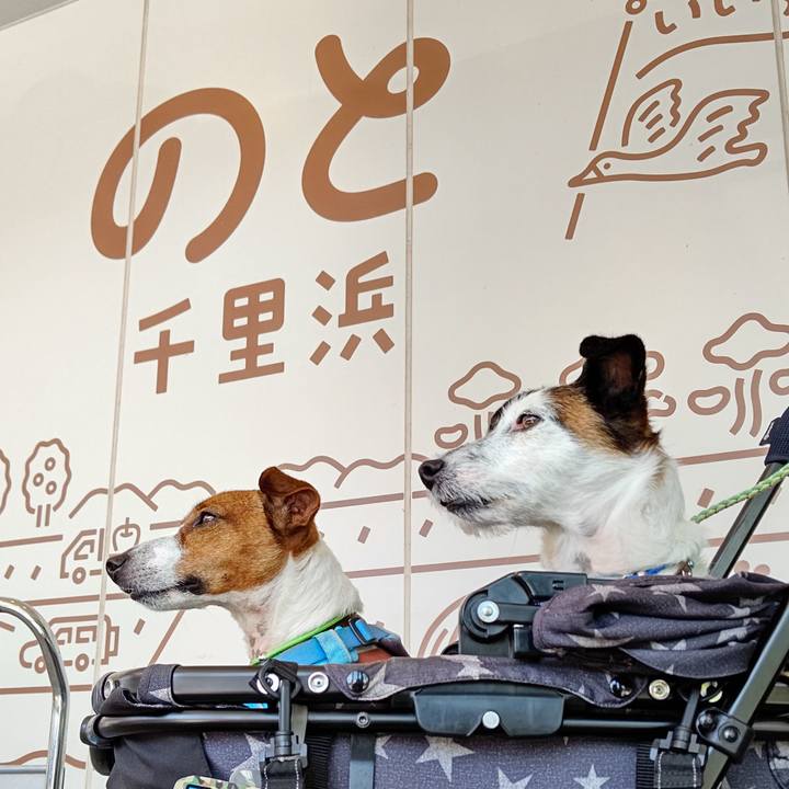 342813fd e898 4cf1 906c 3e8cd8e94fca 1658034623497