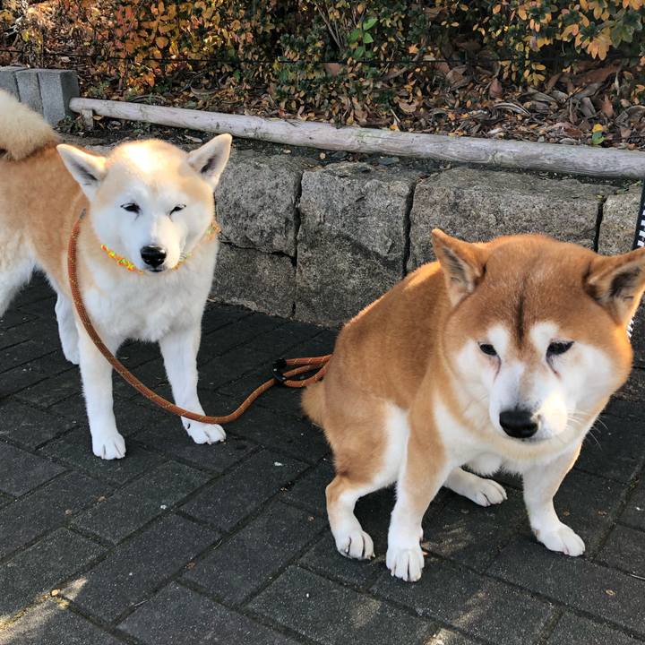 34281b62 e954 4a0e a226 c8cb3f9d39a0 1547598682884