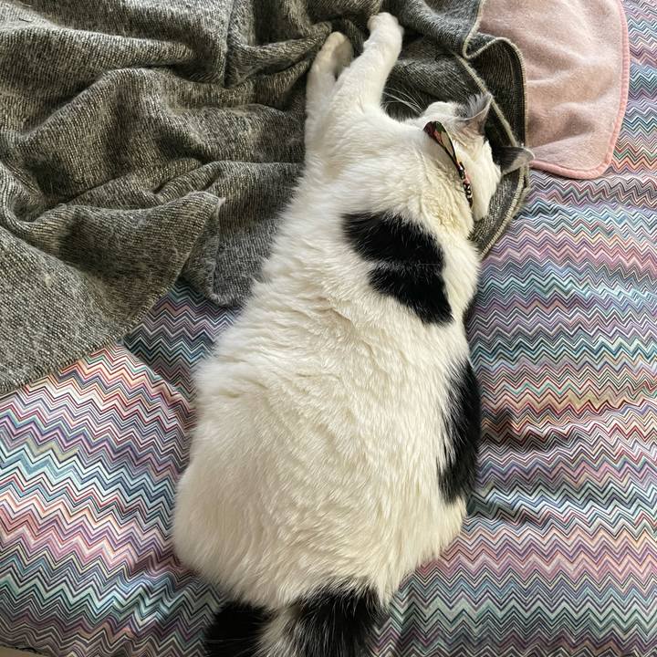 3428426e 14dc 41c3 b09f 297f3b698f98 1647920036088