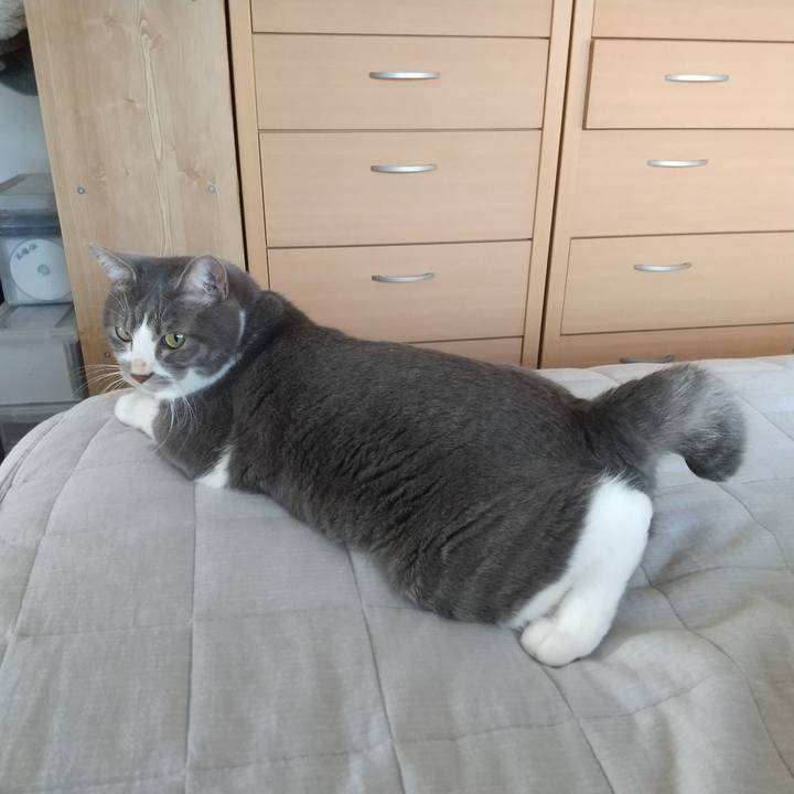 34284746 9ddf 4a04 95a0 5049d913cf7f 1626989143878