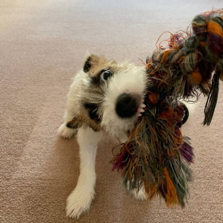 3428781e 15bf 438f bfc1 4181b6535838 1565222849604