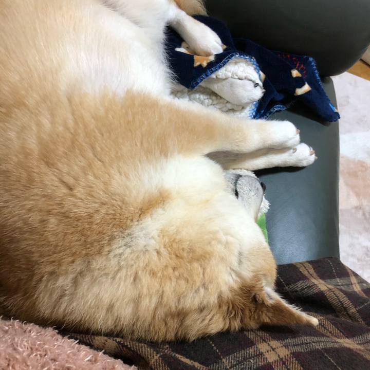 3428ad5a cde6 42d2 9b7c f6be08014605 1584365934902