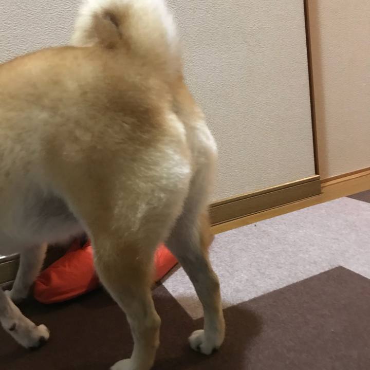 3428cc0b 52b5 4404 b972 0dbfe5a46392 1509799936727