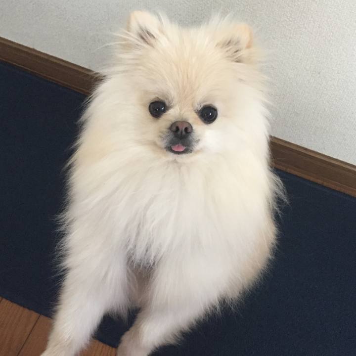 342909c8 1a76 441a be2a 5a83550215b9 1517208582449