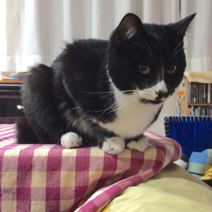 342963c5 f77c 43c9 b106 e9ffbb9a5ebb 1514535333338