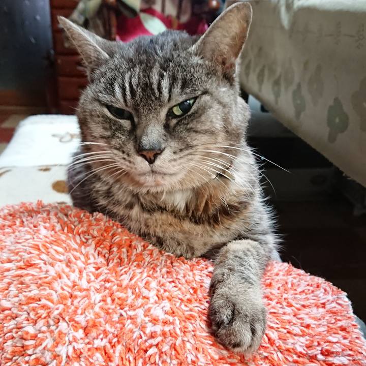 34296b9d dc7d 4dea 9551 3e4eb123f7e1 1580766766500