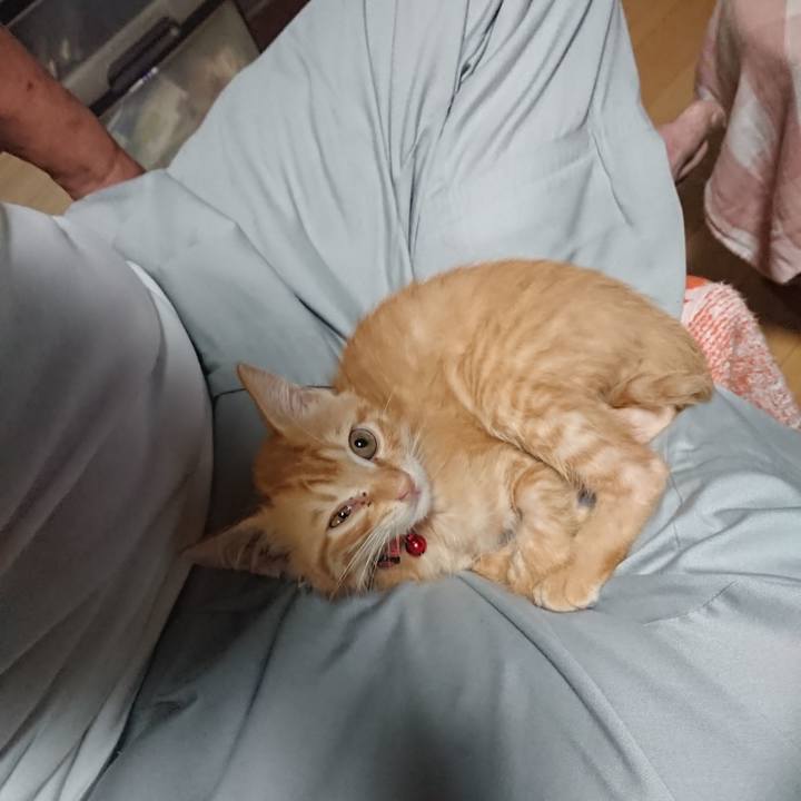 342984a6 07c7 4463 bcf0 abb367212325 1629800344611