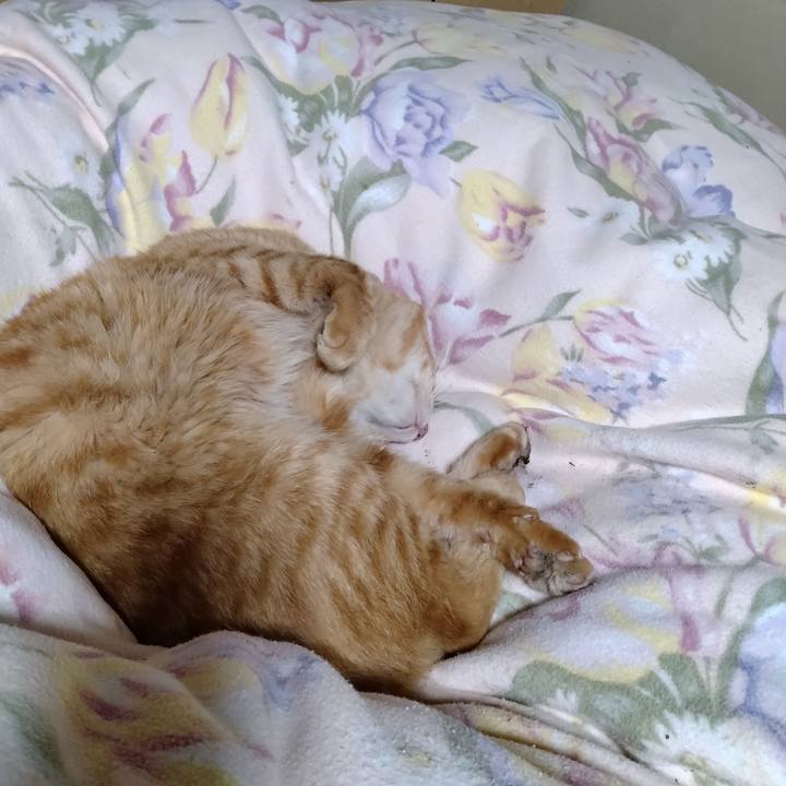 34298725 4244 4040 b207 2a31afa3c15e 1667741278147