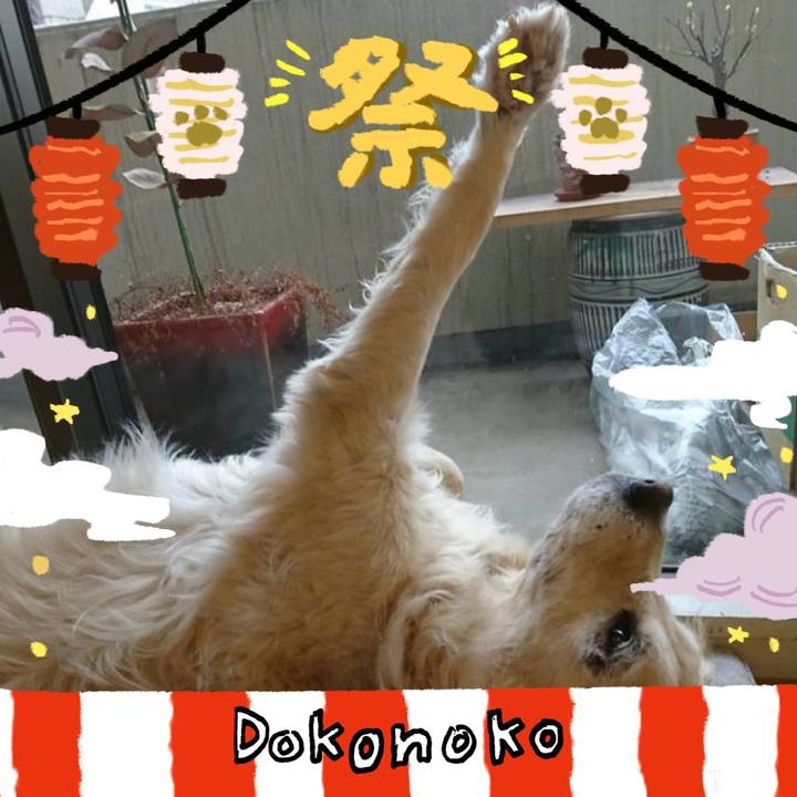 3429a944 4f27 4add 847f d2fac8080016 1723345806126