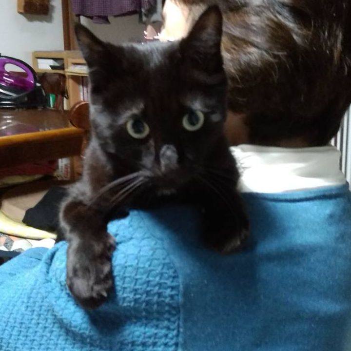 3429da60 9c7e 4d07 86d7 662171167ee1 1700729434211